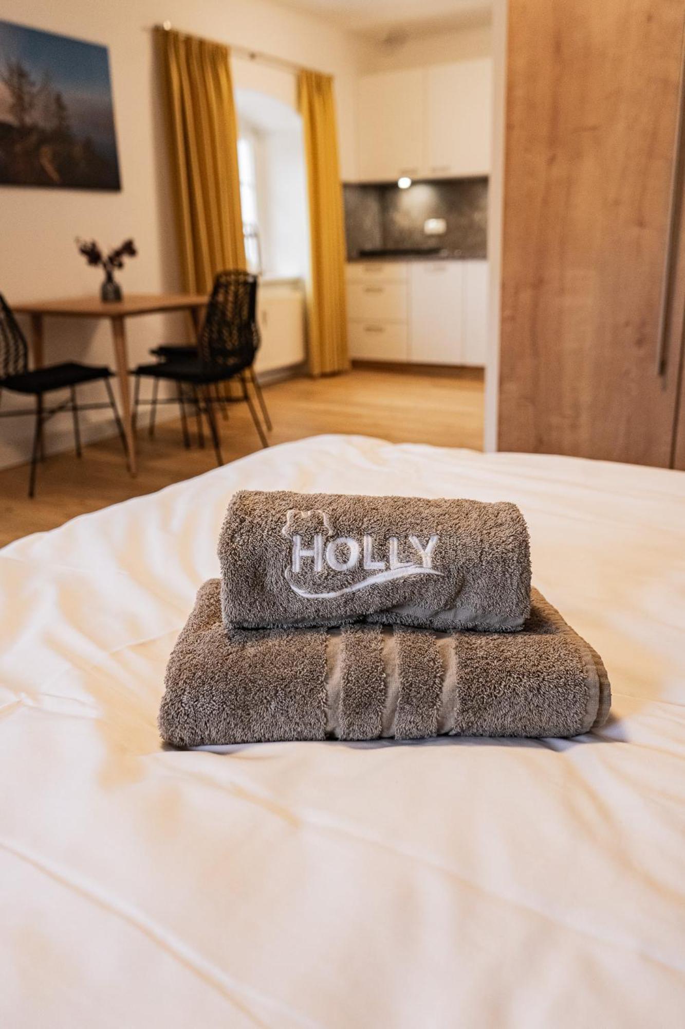 Holly Gmbh Ferienwohnungen 巴特亚历山大斯巴德 外观 照片